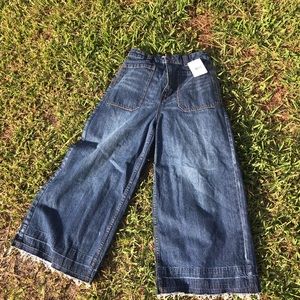 Free people wide pant